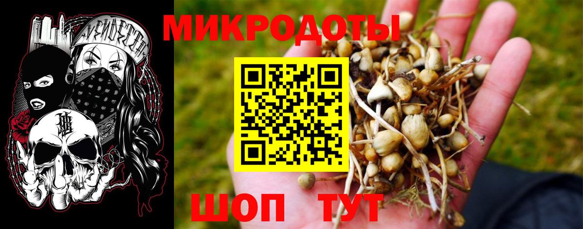 сколько стоит  Вход с VPN  Сокол  Псилоцибиновые грибы мухоморы 